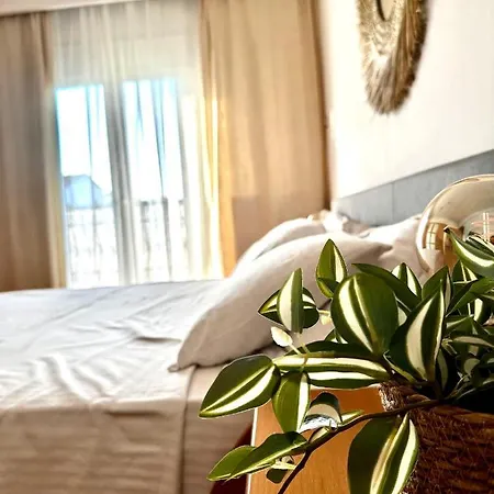 House - Spacious With 2 Bedrooms And Mountain View * Florina